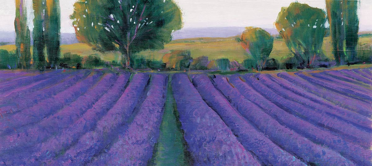 Lavender Art Canvas Art Prints