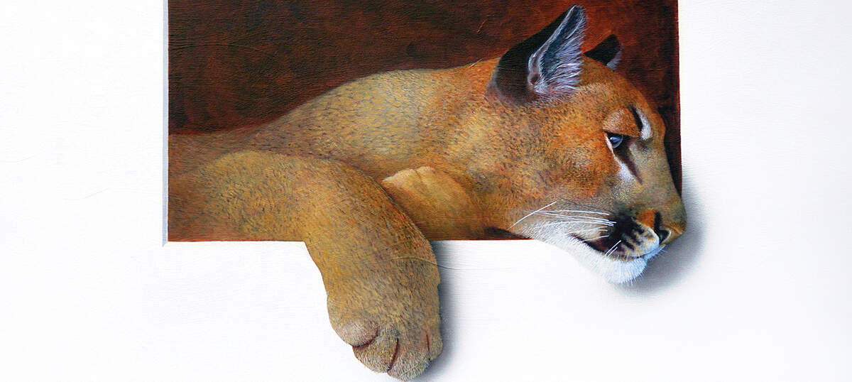 Cougars Canvas Artwork