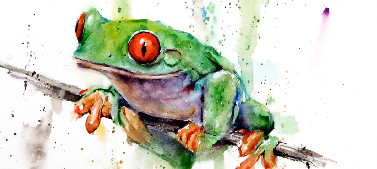 Frogs Canvas Wall Art