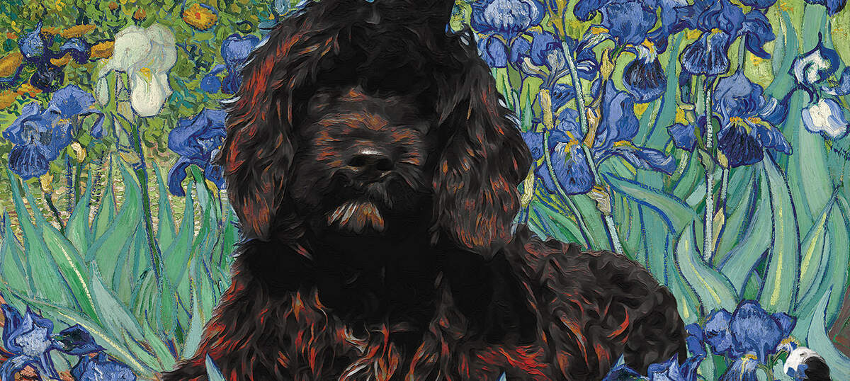 Portuguese Water Dog Canvas Artwork
