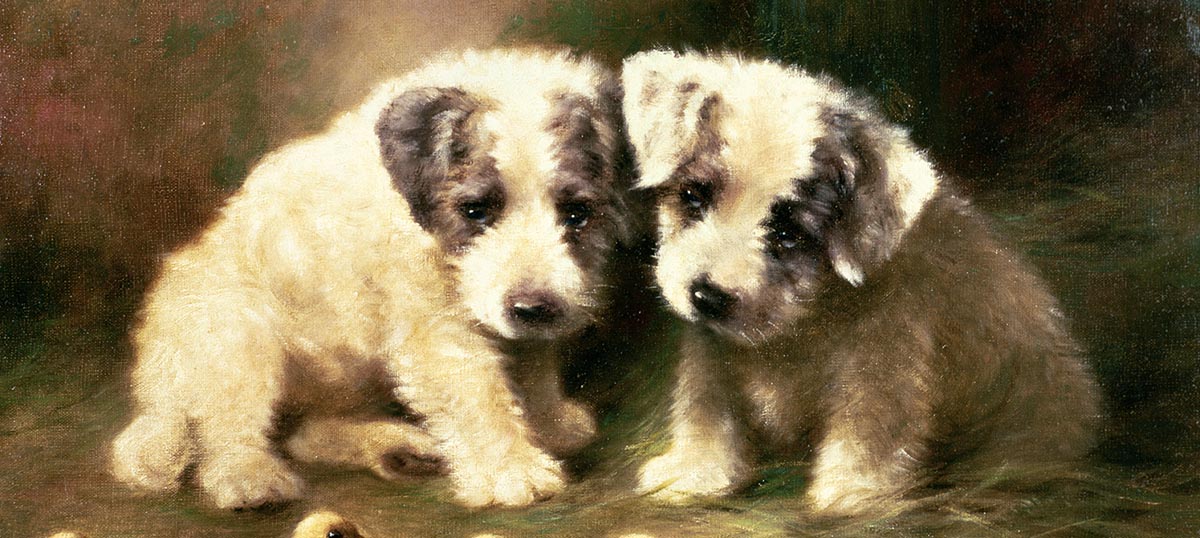 Puppies Canvas Art