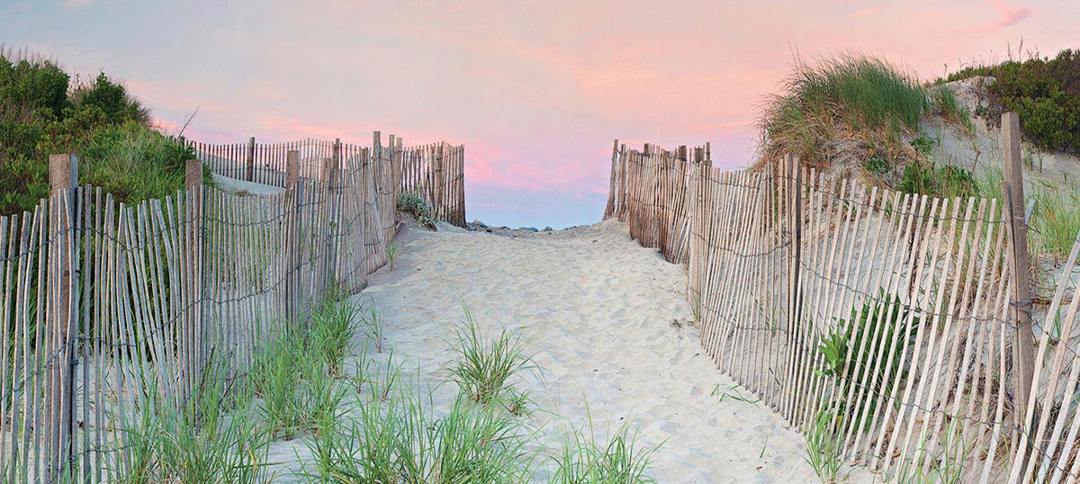 Coastal Sand Dune Art Art Prints