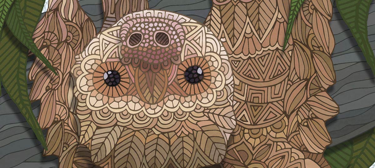 Sloths Canvas Art Prints