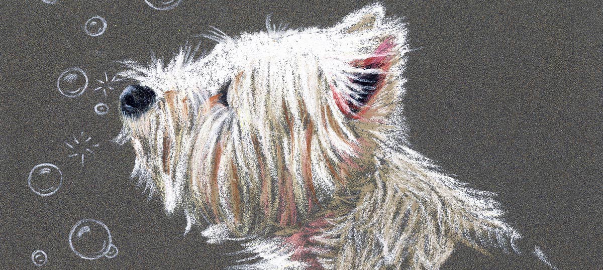 West Highland White Terrier Art Canvas Art Prints
