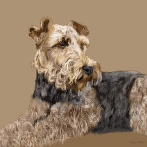 Airedale Terriers Canvas Art