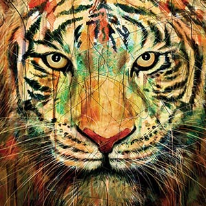Wild Cats Canvas Wall Art