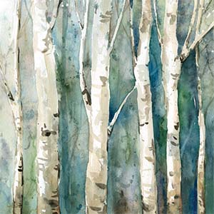Birch Trees Canvas Prints