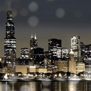 Chicago Skylines Canvas Wall Art