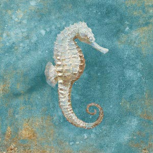 Seahorses Canvas Art Prints