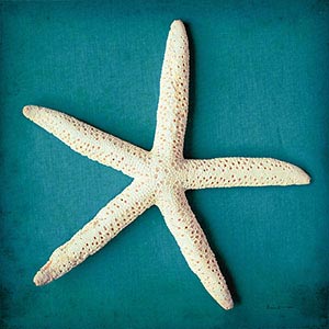 Starfish Canvas Artwork
