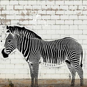 Stencil Animals Canvas Artwork