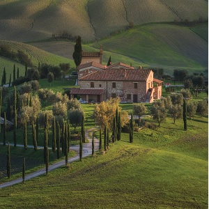 Tuscany Canvas Art Prints