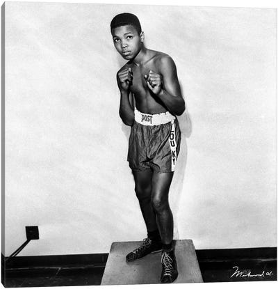 12 Year Old Cassius Clay (Muhammad Ali) Canvas Art Print - Legends Lost in 2016