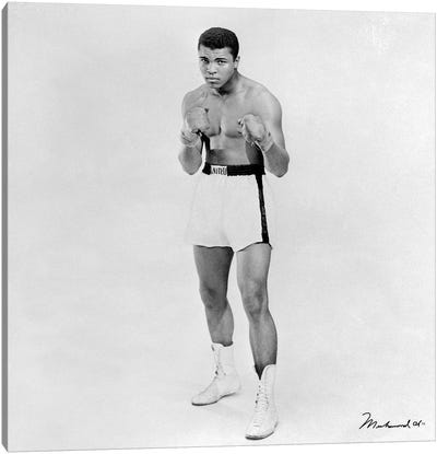 Heavyweight Boxer Muhammad Ali Canvas Art Print - Gym Art