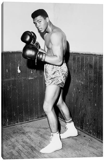 Winner of Golden Gloves Heavyweight Title, 1960 Canvas Art Print - Muhammad Ali Enterprises