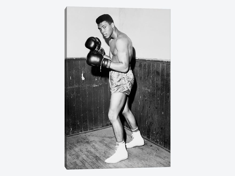 Winner of Golden Gloves Heavyweight Title, 1960 by Muhammad Ali Enterprises 1-piece Art Print