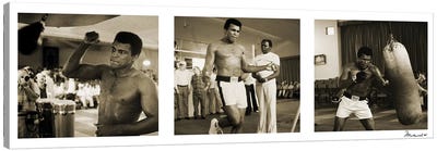 Training in Action at the gym Canvas Art Print - Athlete & Coach Art