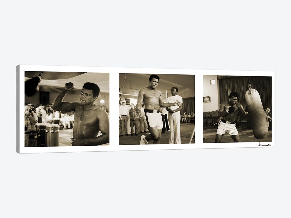 Training in Action at the gym by Muhammad Ali Enterprises 1-piece Canvas Print