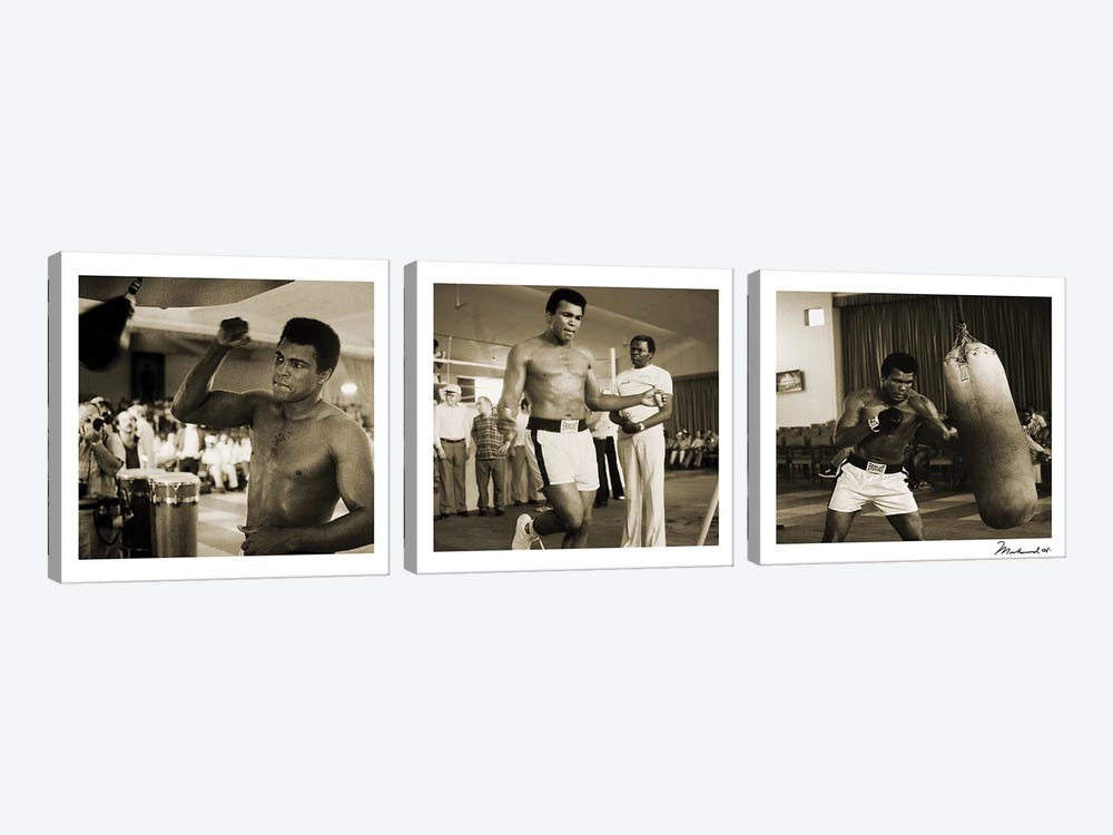 Training in Action at the gym by Muhammad Ali Enterprises 3-piece Canvas Print
