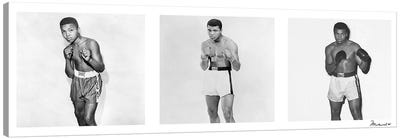 Publicity shots of Ali Canvas Art Print - Boxing Art