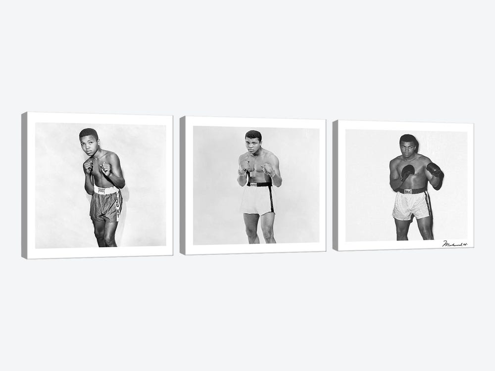 Publicity shots of Ali by Muhammad Ali Enterprises 3-piece Canvas Artwork