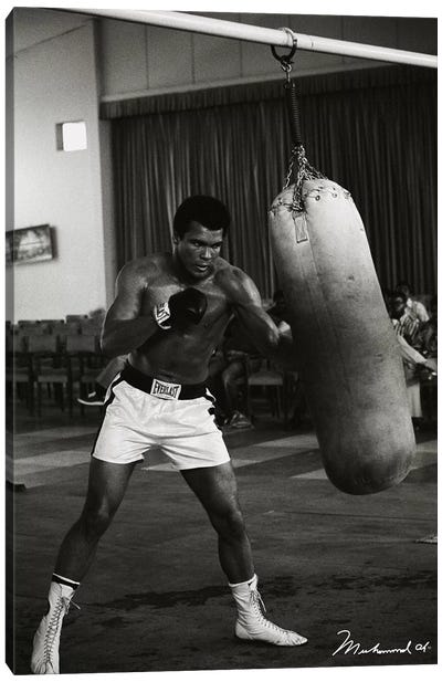 Ali Training in Zaire Canvas Art Print - Boxing Art