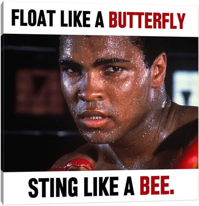 Float like a butterfly Sting like a Bee Canvas Art Print - Muhammad Ali Enterprises
