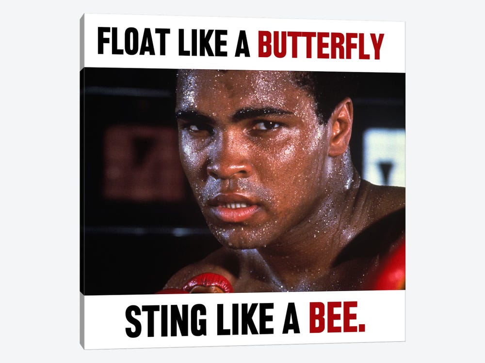 Float like a butterfly Sting like a Bee by Muhammad Ali Enterprises 1-piece Canvas Artwork