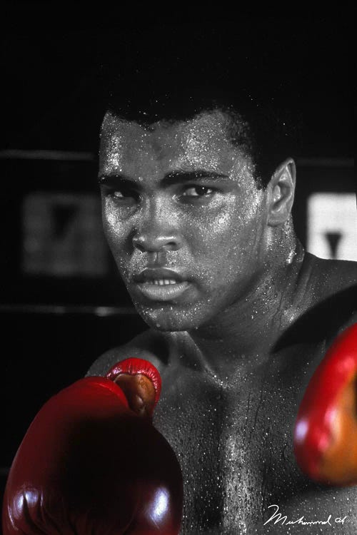 Muhammad Ali In Training