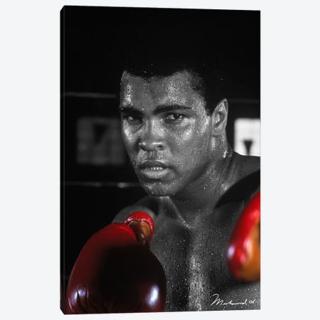 Muhammad Ali In Training Canvas Print #10020} by Muhammad Ali Enterprises Canvas Art