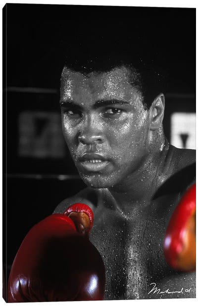 Muhammad Ali In Training Canvas Art Print - Boxing