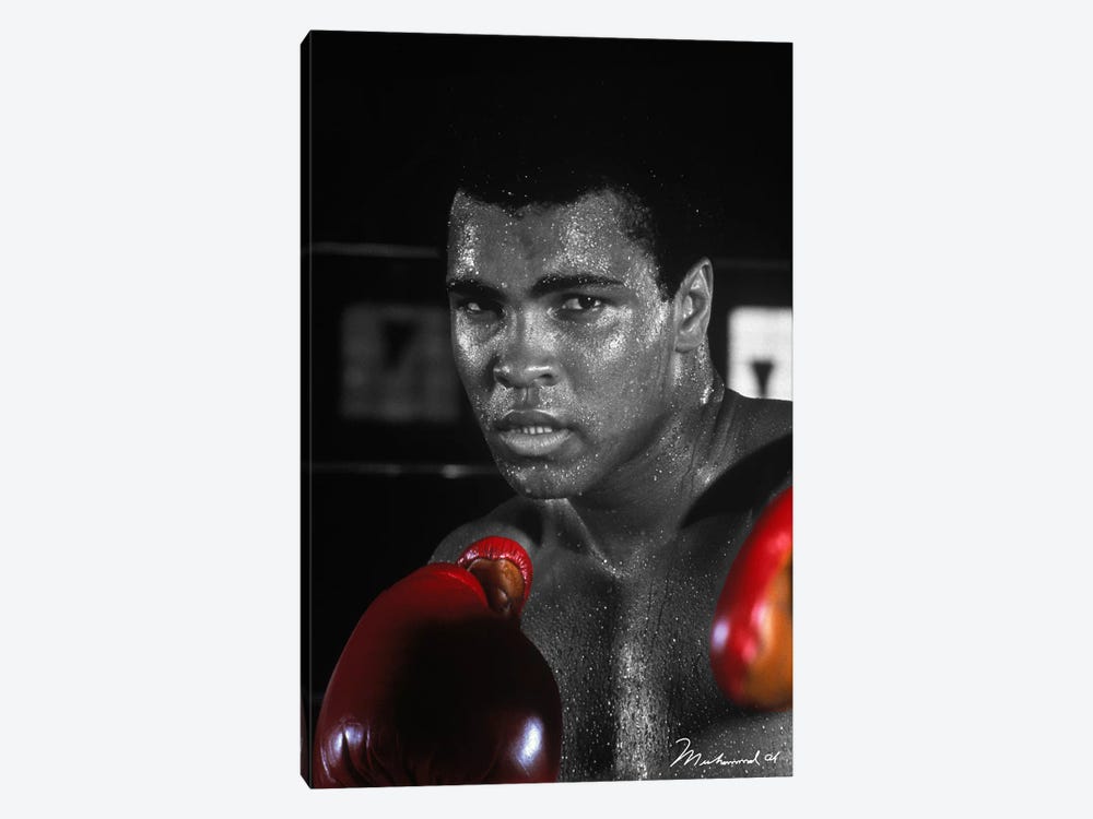Muhammad Ali In Training by Muhammad Ali Enterprises 1-piece Canvas Art