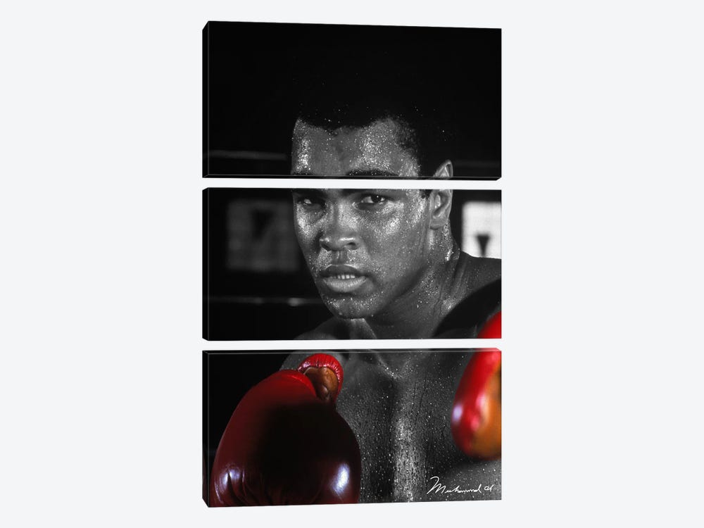 Muhammad Ali In Training by Muhammad Ali Enterprises 3-piece Canvas Wall Art