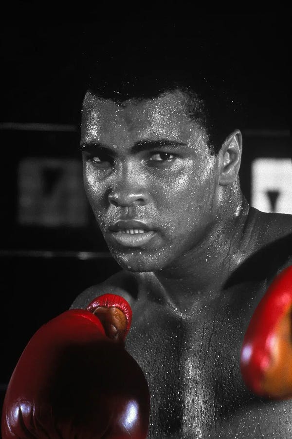 Muhammad Ali Enterprises