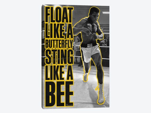 Float Like A Butterfly St Canvas Wall Art Muhammad Ali Enterprises