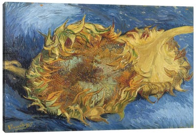 Sunflowers, 1887 Canvas Art Print - Autumn & Thanksgiving