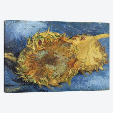 Sunflowers, 1887 Canvas Print #1015} by Vincent van Gogh Canvas Art