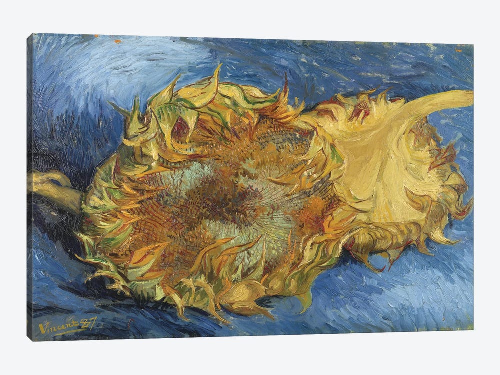 Sunflowers, 1887 by Vincent van Gogh 1-piece Canvas Wall Art