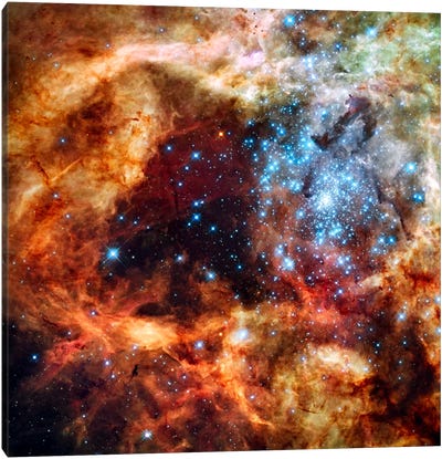 R136 Star Cluster (Hubble Space Telescope) Canvas Art Print - 3-Piece Photography