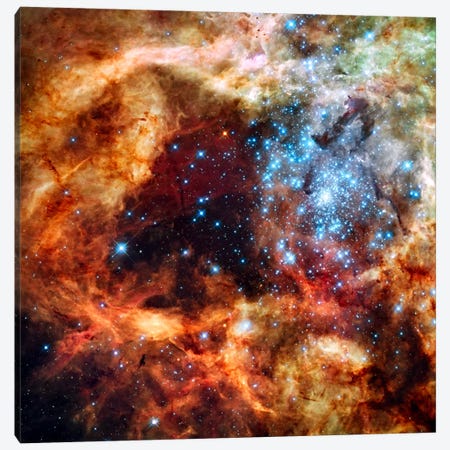 R136 Star Cluster (Hubble Space Telescope) Canvas Print #11024} by NASA Canvas Art