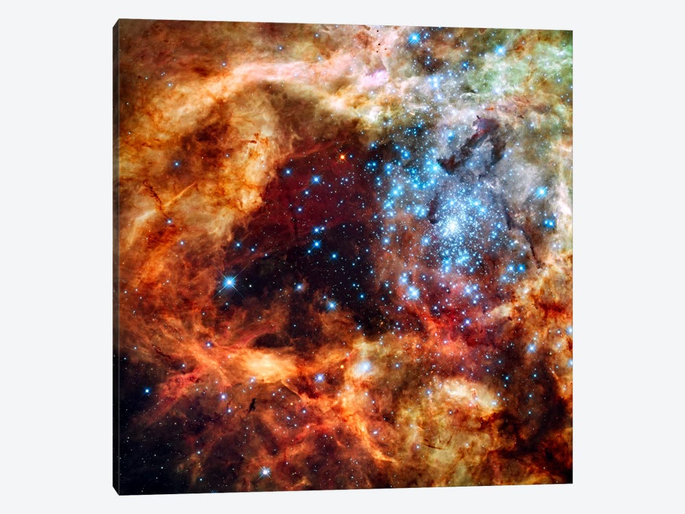 R136 Star Cluster (Hubble Space Telescope) 1-piece Canvas Wall Art