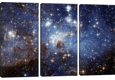 LH-95 Stellar Nursery (Hubble Space Telescope) Canvas Art Print - 3-Piece Astronomy & Space Art