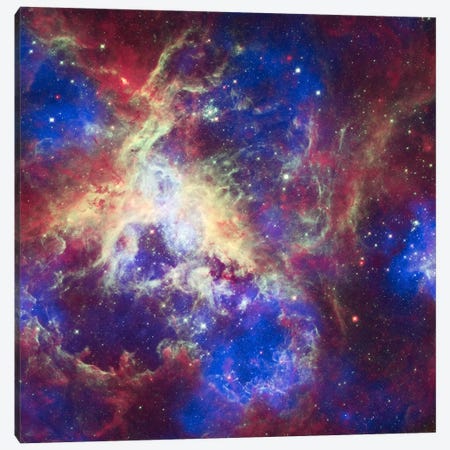 Tarantula Nebula (Spitzer Space Observatory) Canvas Print #11068} by NASA Art Print