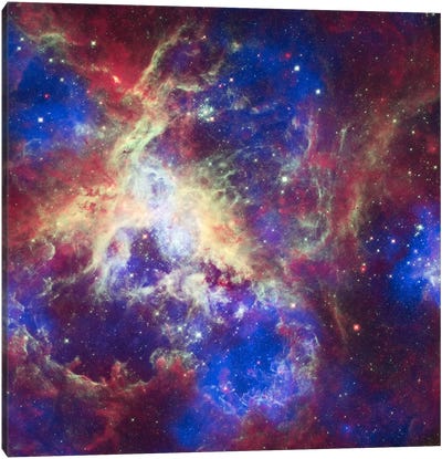 Tarantula Nebula (Spitzer Space Observatory) Canvas Art Print - Star Art