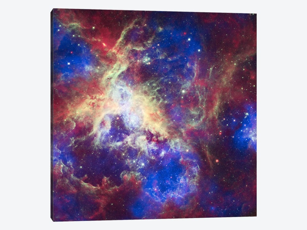 Tarantula Nebula (Spitzer Space Observatory) by NASA 1-piece Canvas Art