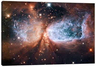 Celestial Snow Angel S106 Nebula (Hubble Space Telescope) Canvas Art Print - Astronomy & Space Art