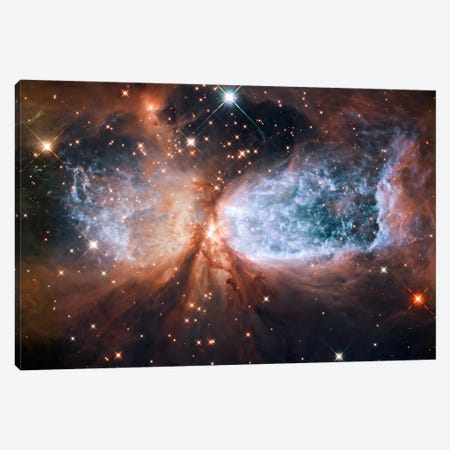 Celestial Snow Angel S106 Nebula (Hubble Space Telescope) Canvas Print #11075} by NASA Canvas Print