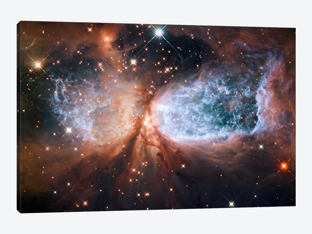 Celestial Snow Angel S106 Nebula (Hubble Space Telescope) 1-piece Canvas Wall Art