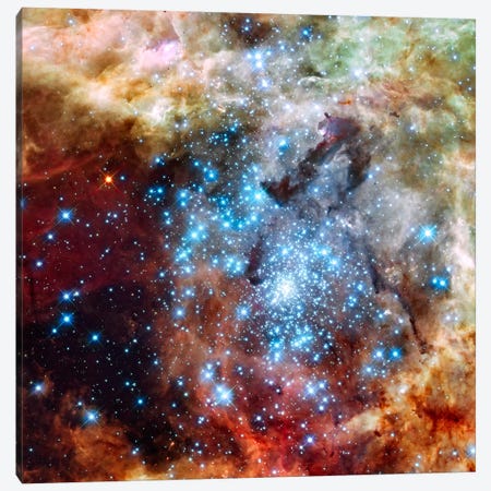 Star Cluster on Collision Course (Hubble Space Telescope) Canvas Print #11104} by NASA Canvas Print
