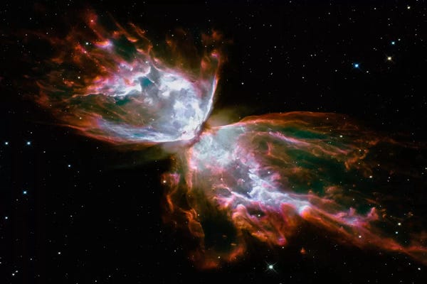NASA: Butterfly Nebula (Hubble Space Telescope) by NASA